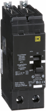 Mini Circuit Breaker 35A, 2 Pole, 480Y/277 VAC, Bolt On