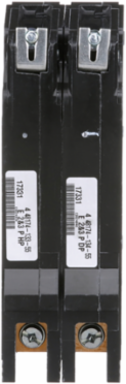 Mini Circuit Breaker 80A 2 Pole 480Y/277VAC Bolt-On