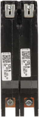 Mini Circuit Breaker, 125A, 2 Pole, 480Y/277V AC, 25kA Max, Bolt-On