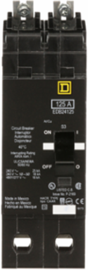 Mini Circuit Breaker, 125A, 2 Pole, 480Y/277V AC, 25kA Max, Bolt-On