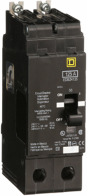 Mini Circuit Breaker, 125A, 2 Pole, 480Y/277V AC, 25kA Max, Bolt-On
