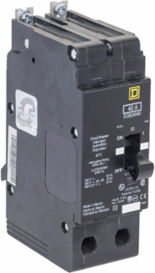 Mini Circuit Breaker E-Frame 110A 2 Pole 480Y/277 VAC Bolt-On