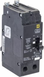 Mini Circuit Breaker E-Frame 110A 2 Pole 480Y/277 VAC Bolt-On