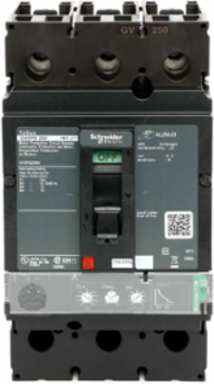 TeSys Motor Protection Circuit Breaker 250A 3P 600V 18kA