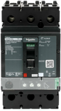 TeSys Motor Protection Circuit Breaker 250A 3P 600V 25kA