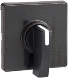 Cam Switch Operating Head Ø 22mm, 60x60mm Plate, IP65, 0.053 kg
