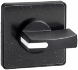 Harmony K Cam Switch Operating Head, 45 x 45 mm, IP40, Black Handle