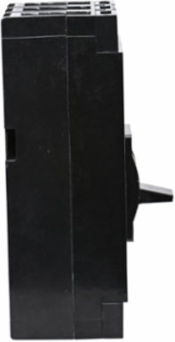 Circuit Breaker 250A 2-Pole 600VAC Thermal Magnetic, 11 In Height
