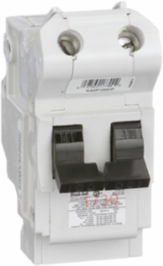 Stab-Lok Circuit Breaker 100A 2 Pole 120/240V AC 10kA Plug-In Mount