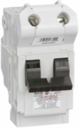 Stab-Lok Circuit Breaker 100A 2 Pole 120/240V AC 10kA Plug-In Mount