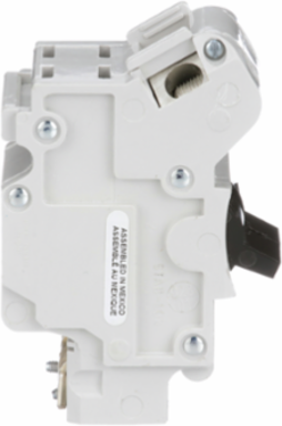 Stab-Lok Circuit Breaker, 100A, 2 Pole, 120/240VAC, 10kA, Bolt-On Mount