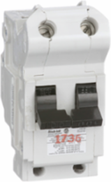 Stab-Lok Circuit Breaker, 100A, 2 Pole, 120/240VAC, 10kA, Bolt-On Mount