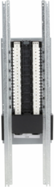 NQ Panelboard Interior, 600A, 42 Pole Spaces, Copper Bus, 240VAC