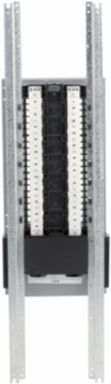 NQ Panelboard Interior, 600A, 42 Pole Spaces, Copper Bus, 240VAC
