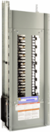 NQ Panelboard Interior, 225A, Copper Bus, 42 Pole Spaces, 14 Inch Wide