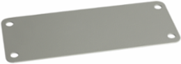 Blank Plate for FL21 Cut-Out, IP65, Metallic, 0.335 kg, 215 mm Width