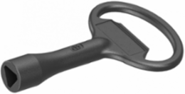 Metal Key for 8mm Triangular Insert, Lock Type: 8 mm, Set of 1