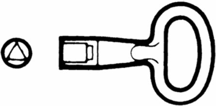 Triangular Lock Insert 8mm for Spacial CRN and Thalassa PLM Enclosures