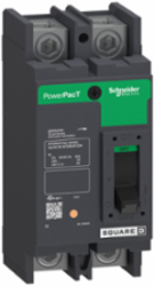 PowerPact Q Circuit Breaker, 100A, 2 Pole, 240V AC, 10kA, Thermal-Magnetic