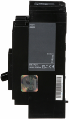 PowerPacT Q Circuit Breaker, 125A, 2 Pole, 65kA, Thermal Magnetic