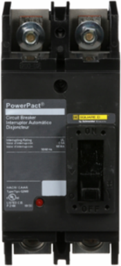 PowerPacT Q Circuit Breaker, 125A, 2 Pole, 65kA, Thermal Magnetic
