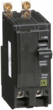 Mini Circuit Breaker 100A 2-Pole 120/240V AC 10kA Bolt-On Mount