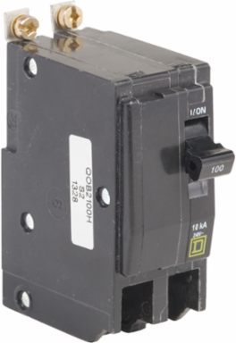 Miniature Circuit Breaker 100A 2 Pole 240VAC Bolt-On 10kA