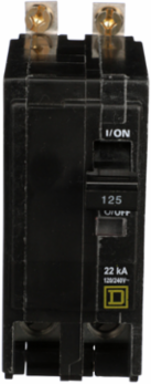Mini Circuit Breaker, 125A, 2 Pole, 240VAC, 22kA, Bolt-On Mount