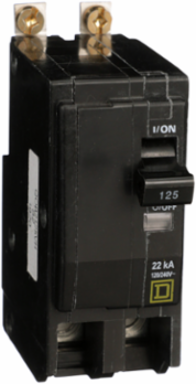 Mini Circuit Breaker, 125A, 2 Pole, 240VAC, 22kA, Bolt-On Mount