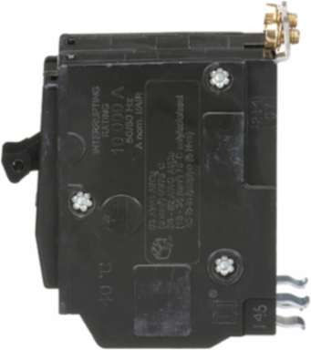 Mini Circuit Breaker 60A, 2 Pole, 120/240V AC, 10kA, Bolt-On Mount