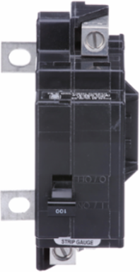 QO Main Breaker 100A 2 Pole 120/240V 22kA Bolt-On Mount