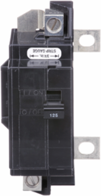 QO Main Breaker 125A 2 Pole 120/240VAC 22kA Bolt-On