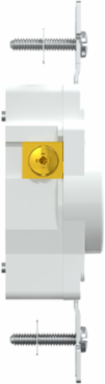 Socket-outlet, X Series, 20A, standard, single, tamper resistant, residential, white, matte finish