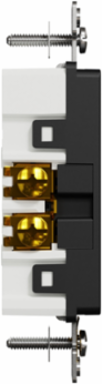 X Series 15A 125V Tamper Resistant Duplex Outlet, Black, 2P+E