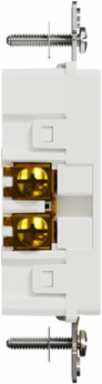 X Series 15A 125V Tamper Resistant Duplex Receptacle 30 Pack, White