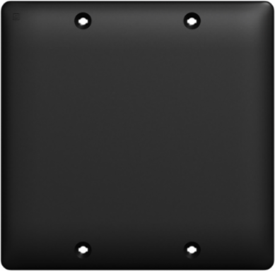 X Series 2 Gang Blank Wall Plate Matte Black 116mm x 114mm
