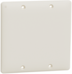 X Series 2 Gang Blank Wall Plate, 116mm Width, Light Almond