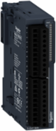 Discrete Output Module, 16 Outputs Transistor NPN, 24V DC, IP20
