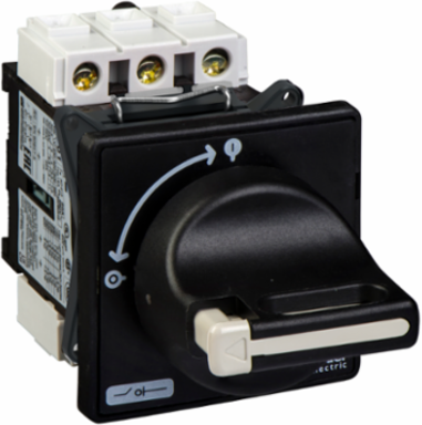 TeSys Vario Switch Disconnector, 20A, 3 Poles, IP65, Door Mount