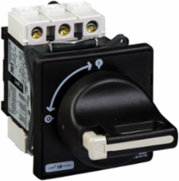 TeSys Vario Switch Disconnector, 20A, 3 Poles, IP65, Door Mount