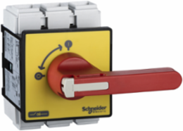 TeSys Vario Switch Disconnector 125A IP65 for Door Mounting