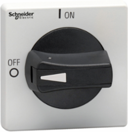 TeSys VLS Rotary Handle Disconnect Switch, 65x65 mm, IP65, Black Handle