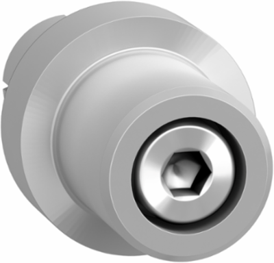 Shaft Extension 1 Piece for Lexium PAS/CAS, 0.012 kg, 230 N Max Radial Force