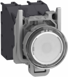 Complete Illuminated Push Button 22mm Spring Return 1NO 24...254V AC/DC