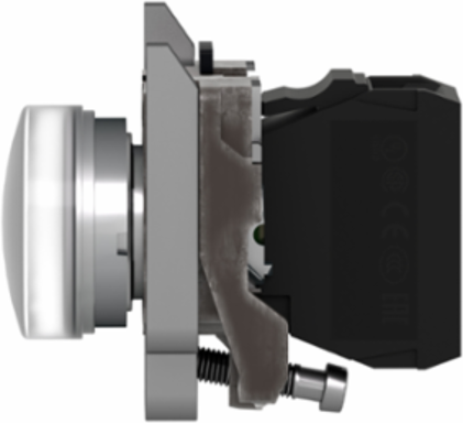 Harmony XB4 White Pilot Light, 22mm, 24V AC/DC, LED