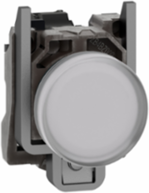 Harmony XB4 White Pilot Light, 22mm, 24V AC/DC, LED