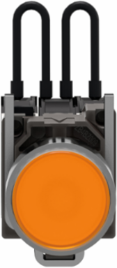 Harmony XB4 Push-to-Test Pilot Light, 24V, 22 mm, Metal, Orange