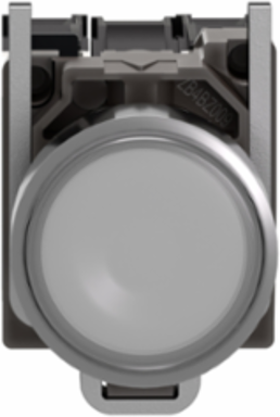 Harmony XB4 Illuminated Push Button 22mm Metal, 1NO + 1NC, 24V AC/DC