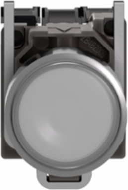 Harmony XB4 Illuminated Push Button 22mm Metal, 1NO + 1NC, 24V AC/DC