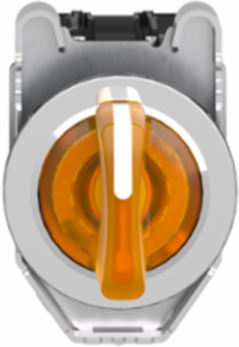 Harmony XB4 30mm Illuminated Selector Switch, IP66, 110-120V AC
